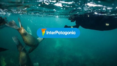 Actividades marinas