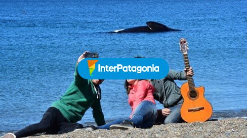 Ballena de fondo