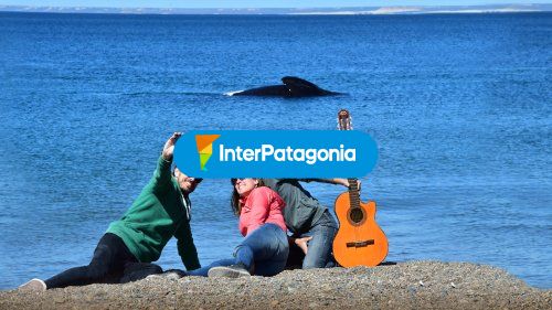 Ballena de fondo