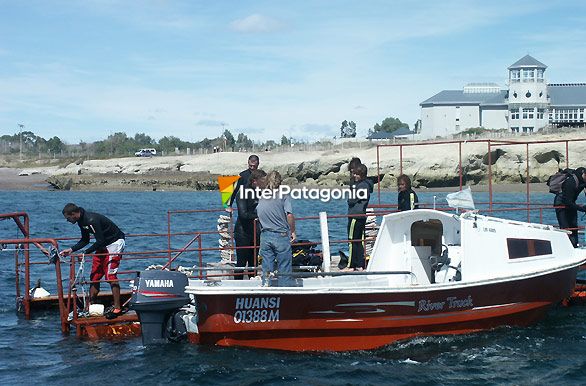 Salida de buceo - Puerto Madryn