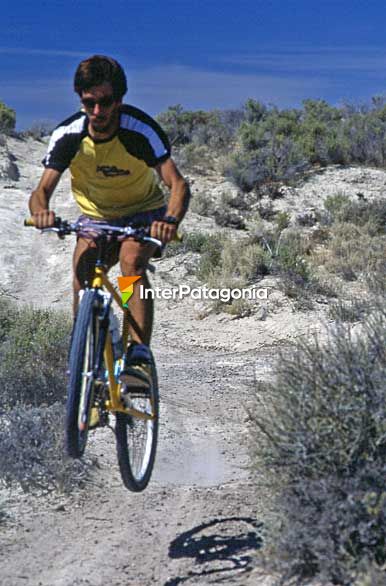 Vrtigo y adrenalina - Puerto Madryn