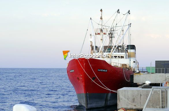 Imagen del puerto - Puerto Madryn