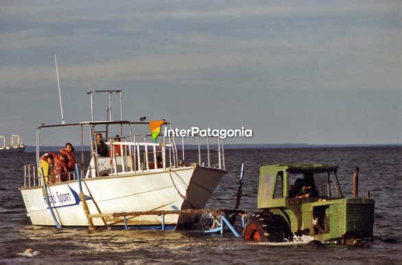 A la bsqueda de delfines - Puerto Madryn