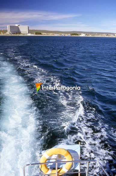 Una vuelta por el Golfo Nuevo - Puerto Madryn