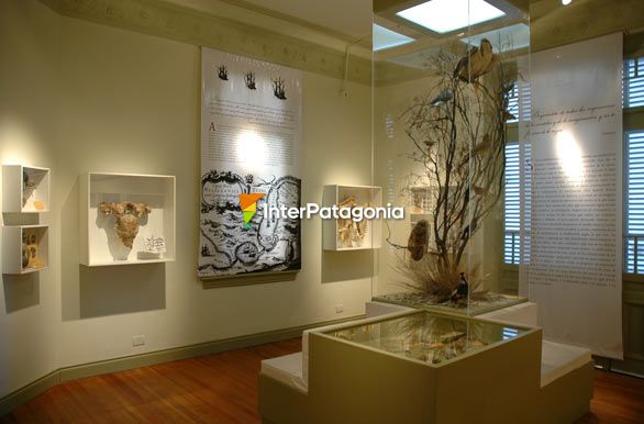 Remodelado museo Del Hombre y El Mar - Puerto Madryn