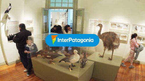 Museo