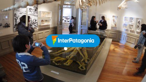 Museos