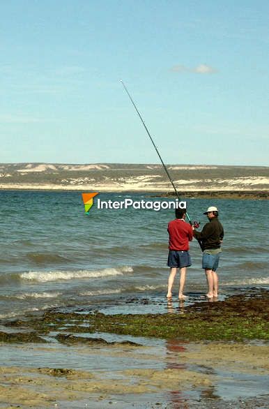 Pescando en Punta Loma - Puerto Madryn