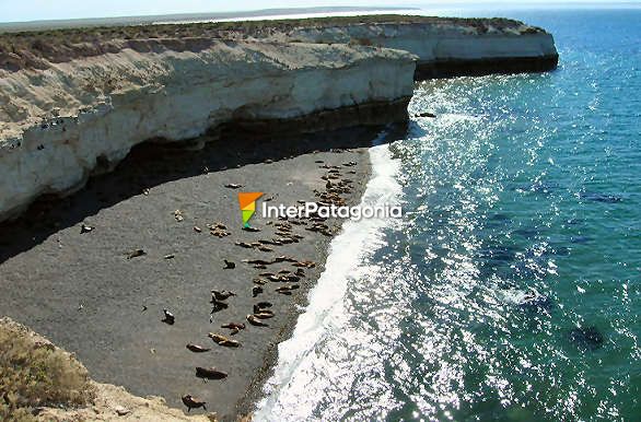 Punta Loma - Puerto Madryn