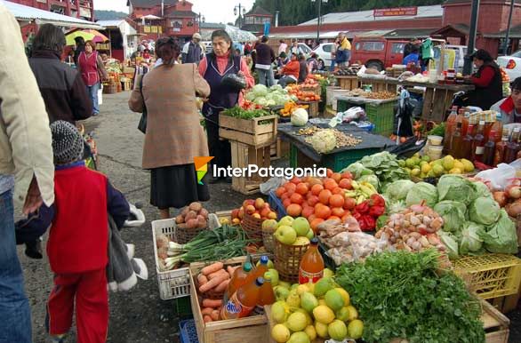 Surtido y sano - Puerto Montt