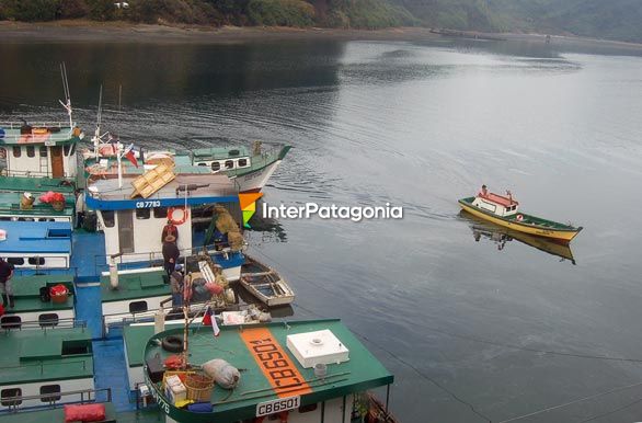 Caleta Angelm - Puerto Montt