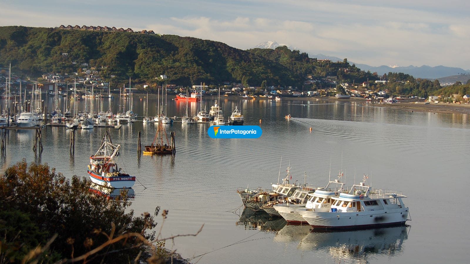 Barcos Puerto Montt - Puerto Montt