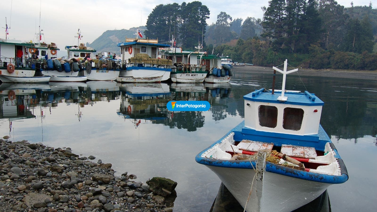 Barcos Puerto Montt - Puerto Montt