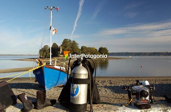 Buceo en Chinquihue - Puerto Montt