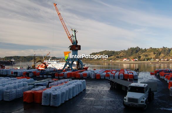 Industria avanzada - Puerto Montt