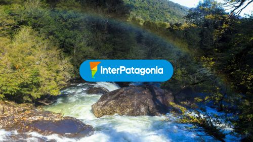 Cascada Parque Alerce Andino