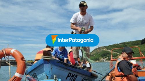 Acuario en la costa de Tenglo