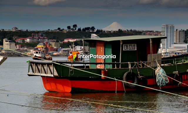 Colorida baha de Puerto Montt - Puerto Montt