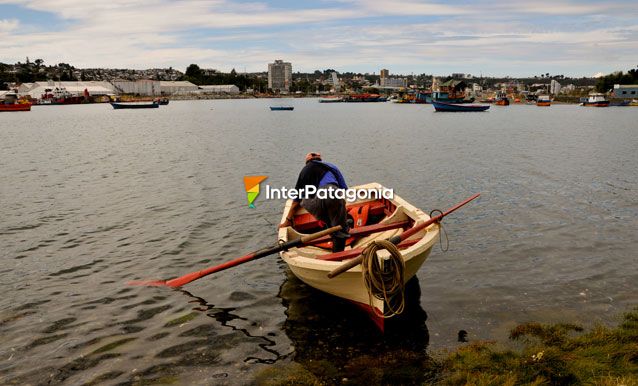 Costa de Tenglo - Puerto Montt