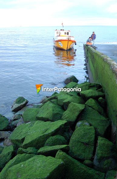 Pescadores del mar - Puerto Montt