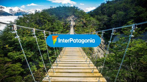 Puente en circuito Grey