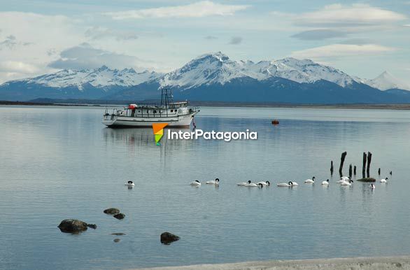 Barquito - Puerto Natales