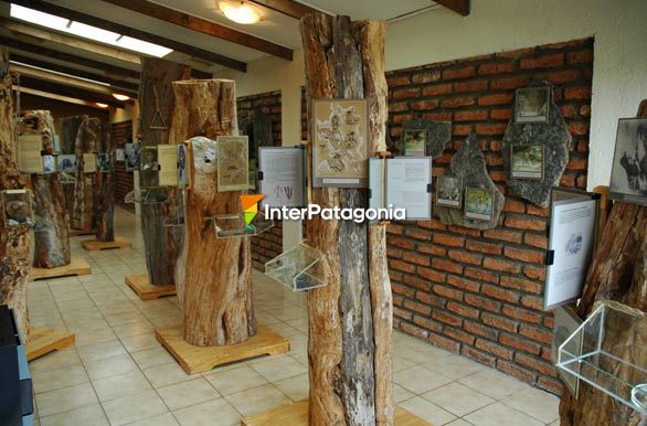 Interior del museo - Puerto Natales