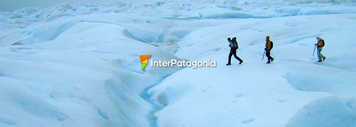 Trekking en el Glaciar Grey - Puerto Natales