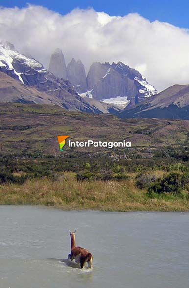 Cruzando el ro - Puerto Natales