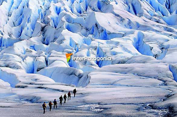 Treking sobre el glaciar Grey - Puerto Natales