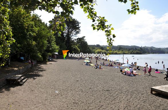 La playa de Puerto Octay - Puerto Octay