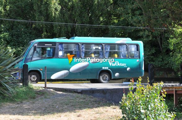 Va Octay Buses - Puerto Octay