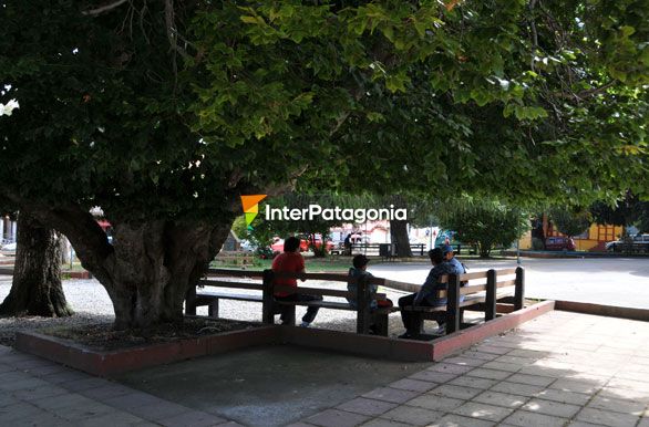 Plaza en Puerto Octay