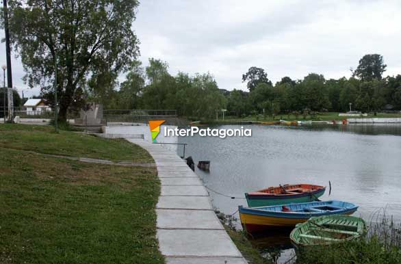 Paseos en bote - Puerto Octay