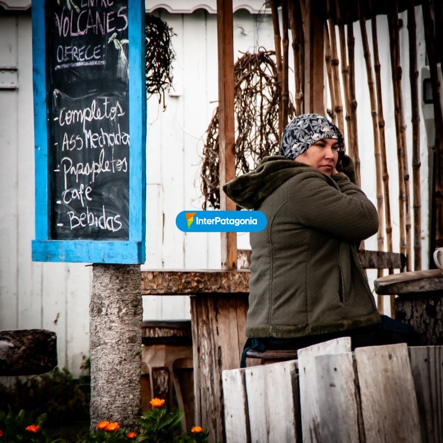 Puesto de comida - Puerto Octay