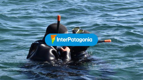 Excursiones en pareja