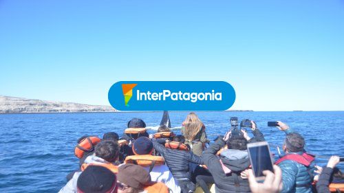 Excursiones