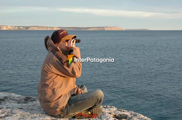 Observando en  Pardelas - Puerto Pirmides