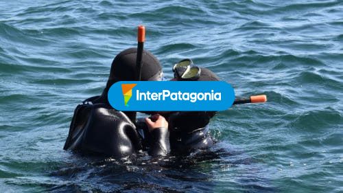Buceo en pareja