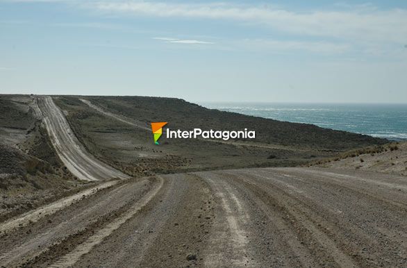 Caminos de la pennsula - Puerto Pirmides