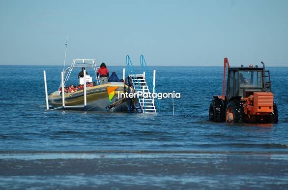 Getting on board to watch whales - Puerto Pirmides