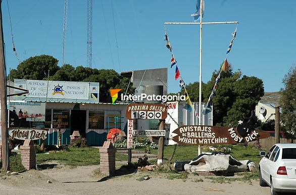 Operadores de buceo - Puerto Pirmides