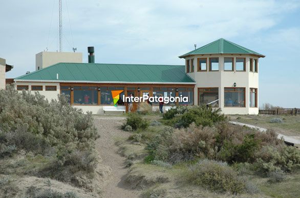 Parador La Elvira en la caleta - Puerto Pirmides