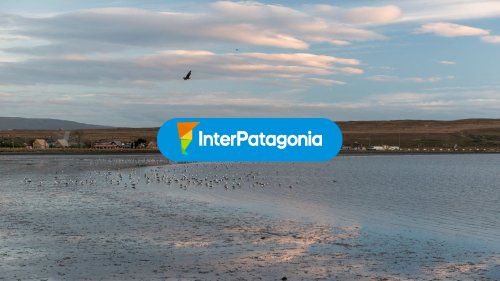 Vista panoramica