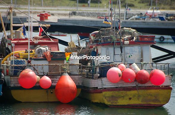 Botes de pescadores - Porvenir