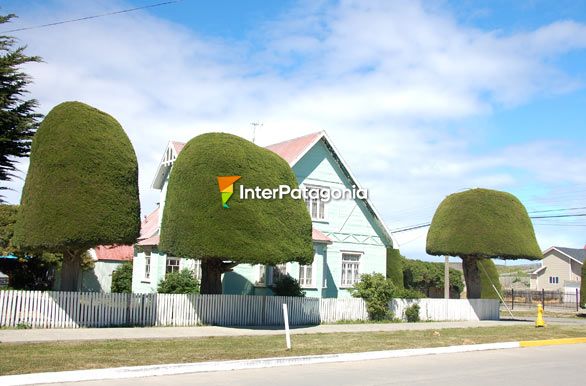 Calle tpica de Puerto Porvenir - Porvenir