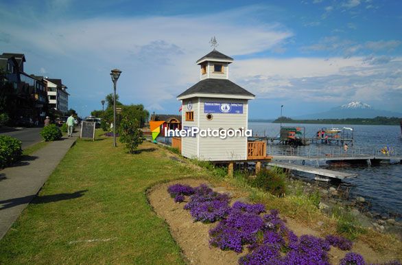 Florida costanera - Puerto Varas