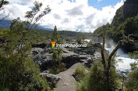 Saltos de Petrohu - Puerto Varas