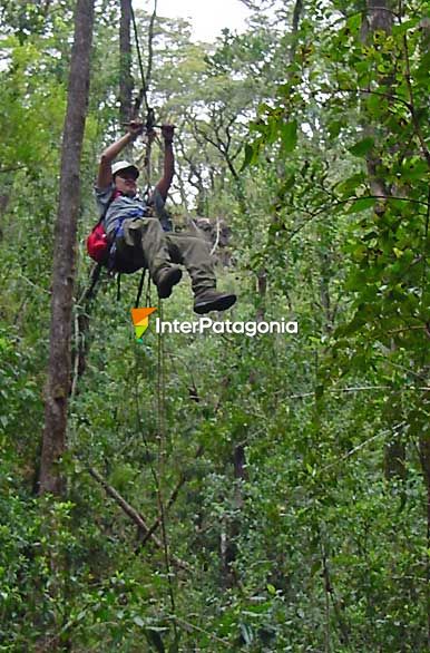 Volando por el bosque - Puerto Varas