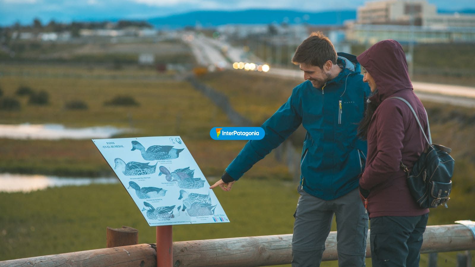 Info sobre las aves - Punta Arenas
